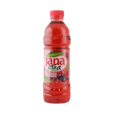 Ice tea forest fruit 0.5 l Jamnica