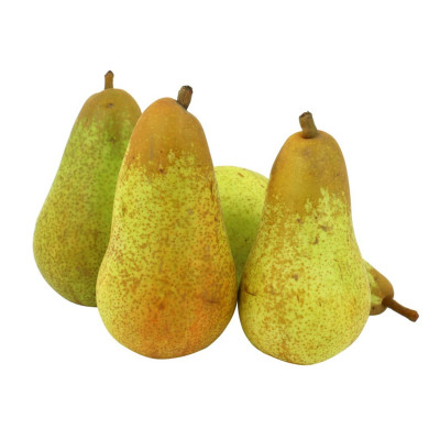 Pear Abate Fettel