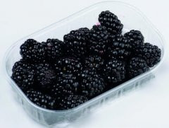 Blackberry 125g