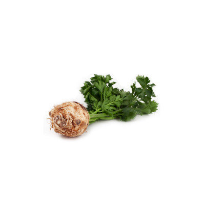 Celery