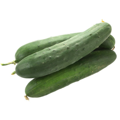 Cucumber