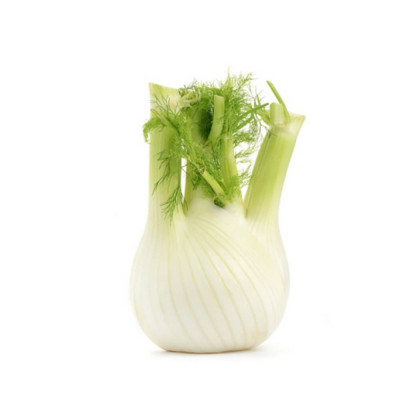 Fennel