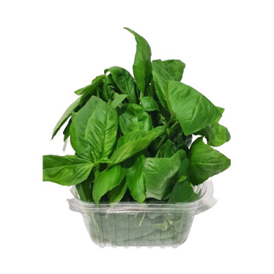 Fresh basil 100 g