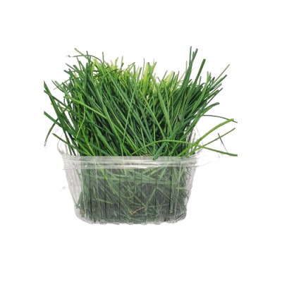 Fresh chives 100 g