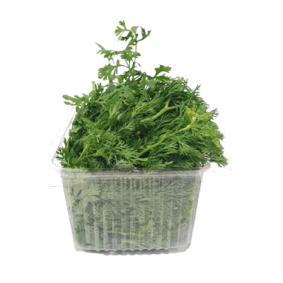 Fresh coriander 100 g