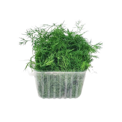 Fresh dill 100 g
