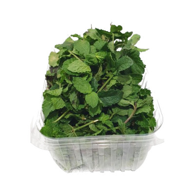 Fresh mint 100 g