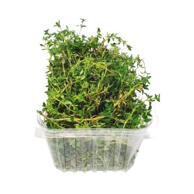 Fresh thyme 100 g