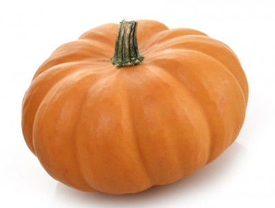 Pumpkin - gourd